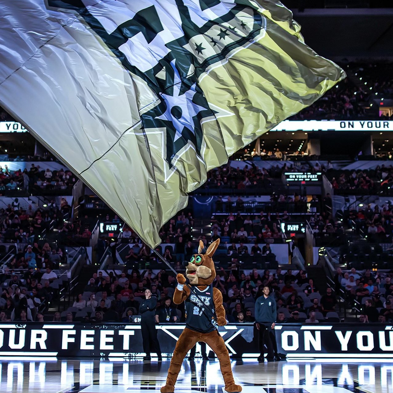 总的来说 总的来说